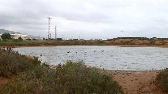 El Consell d’Eivissa espera poder tirar endavant el projecte per soterrar les esteses elèctriques a ses Salines