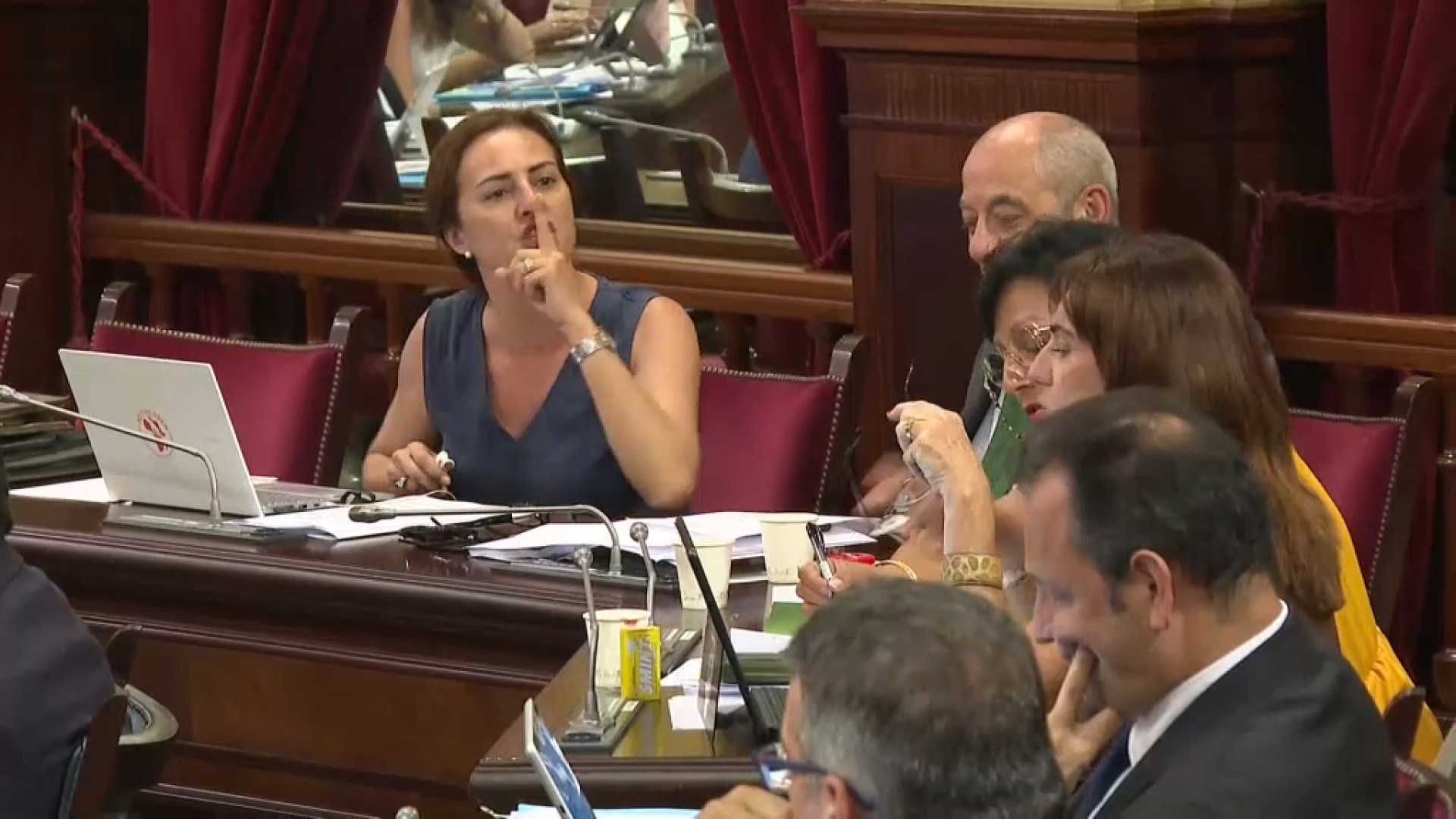 Idoia Ribas es planteja deixar el Grup Parlamentari Vox, però no l’escó