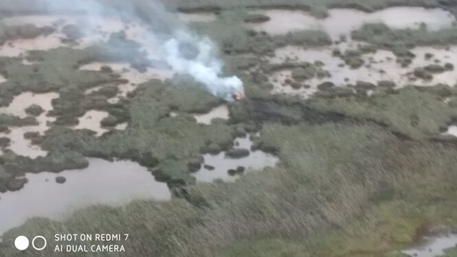 Extingit l’incendi de s’Albufera de Mallorca després de cremar unes 438 hectàrees
