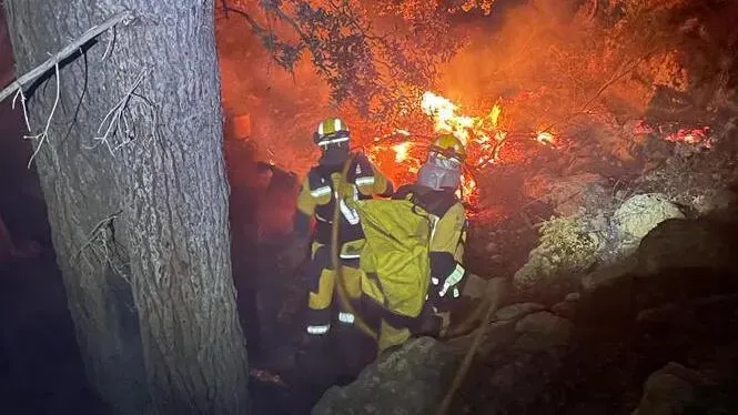 El foc crema de matinada a Bunyola i Mancor en un incendi forestal i un altre d’agrícola