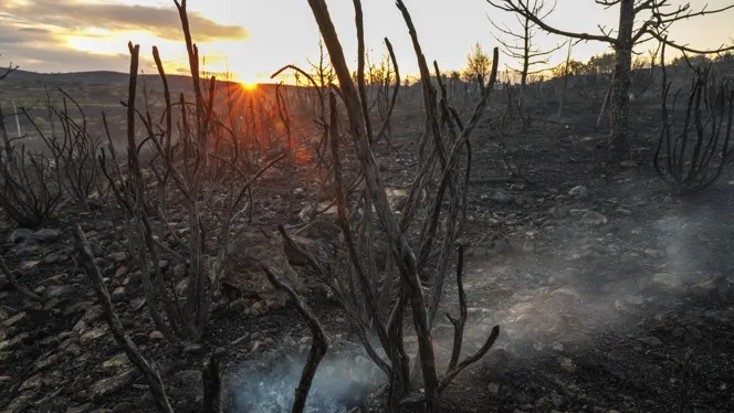 Estabilitzat l’incendi de la Vall d’Ebo mentre les flames continuen cremant a Begís