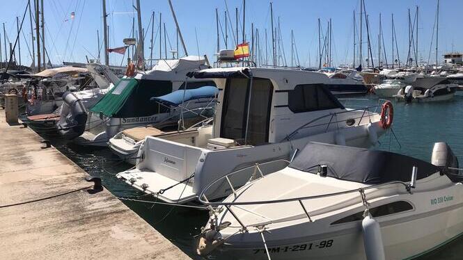 Surten a navegar les primeres embarcacions d’esbarjo al Port d’Alcúdia