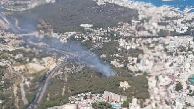 Un incendi forestal a Cala Major deixa mitja hectàrea de pinar cremat