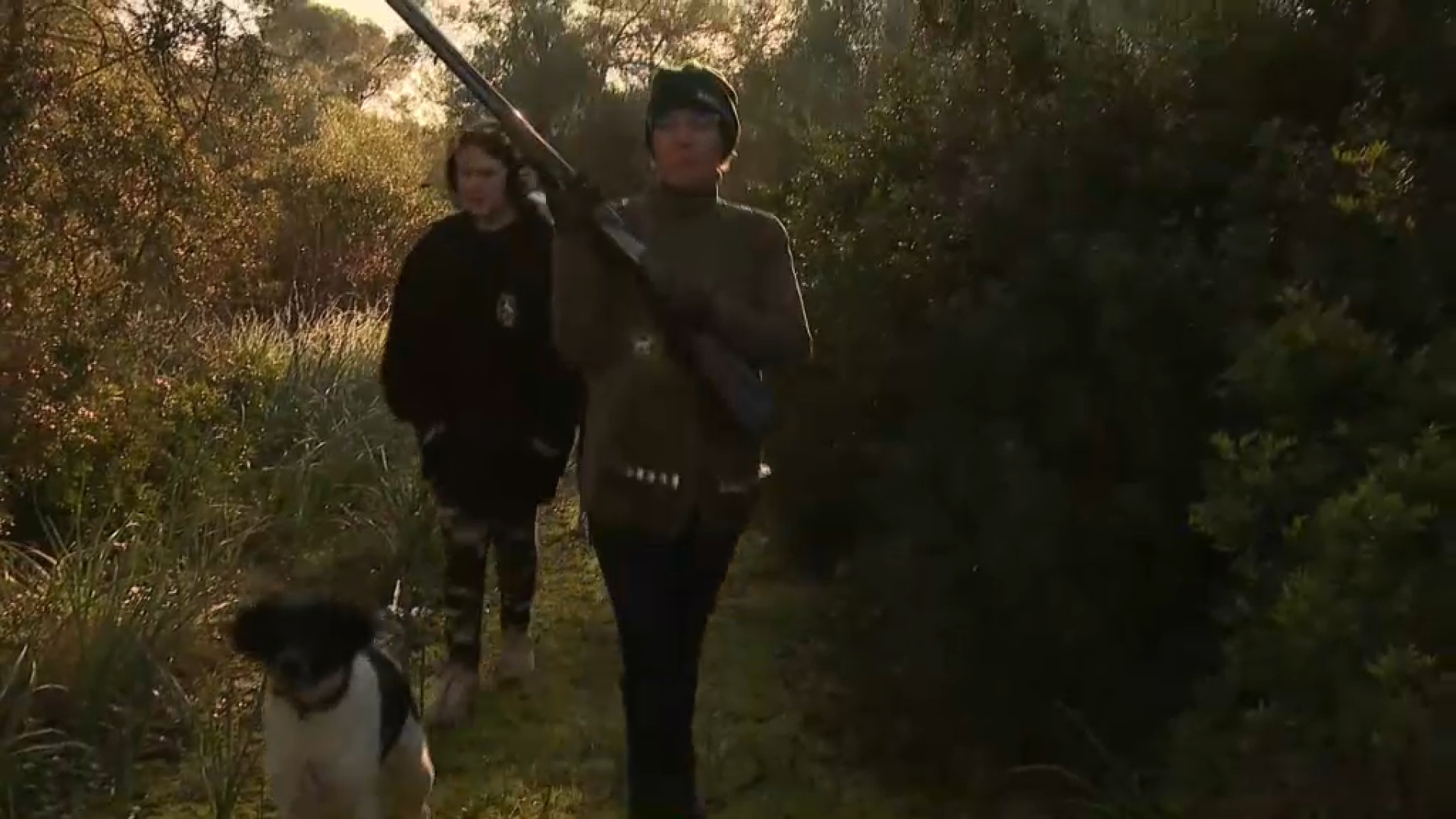 Cans trobats morts a un vaixell: se seguiren tots els protocols i precaucions, segons l’empresa de transports