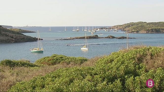 Algunes espècies de la reserva marina del nord de Menorca han perdut el 80%25 de la seva població