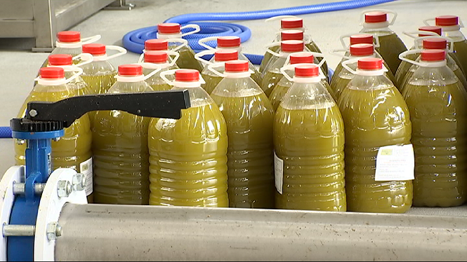 El Govern comprarà 50.000 litres d’excedents d’oli d’oliva