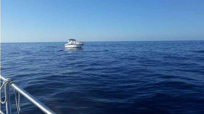 Intercepten quatre pescadors furtius de llampuga al sud de Mallorca