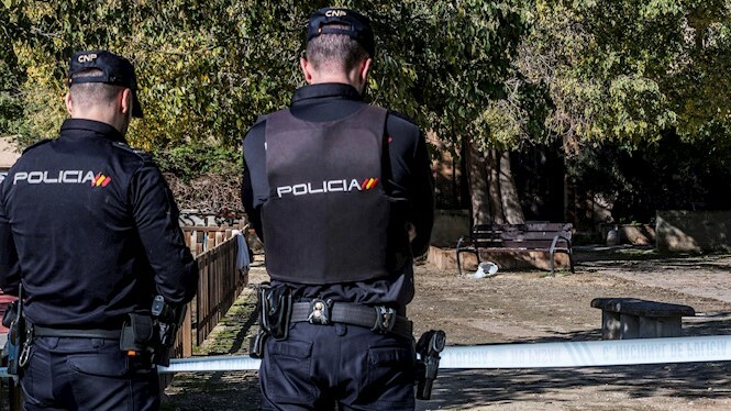 Detingut un home que podria haver cremat una dona a un parc de Palma