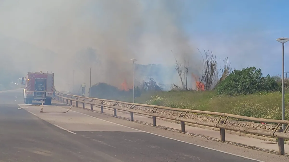 Incendi al torrent des Saluet a Andratx que obliga tallar al trànsit la carretera al Port