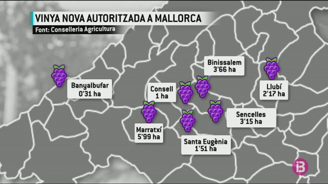 La+vinya+balear%2C+un+sector+en+expansi%C3%B3