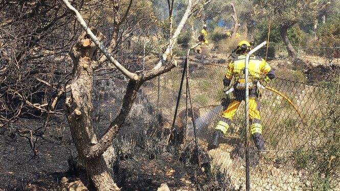 Es declara un incendi forestal a la zona d’Alcanada