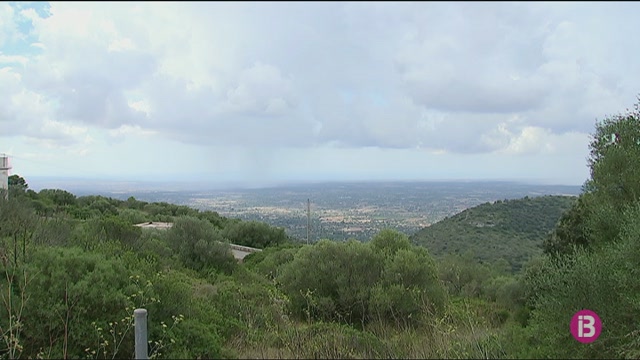 La+Plataforma+Antiautopistes+fa+un+monogr%C3%A0fic+contra+el+desdoblament+Llucmajor-Campos