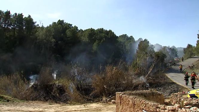 Un incendi al Torrent de s’Aigua a Sant Josep calcina 1,7 hectàrees de canyet