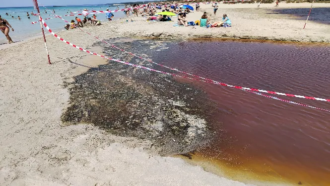 Acordonen la bassa de la platja de Son Bou per contaminació fecal