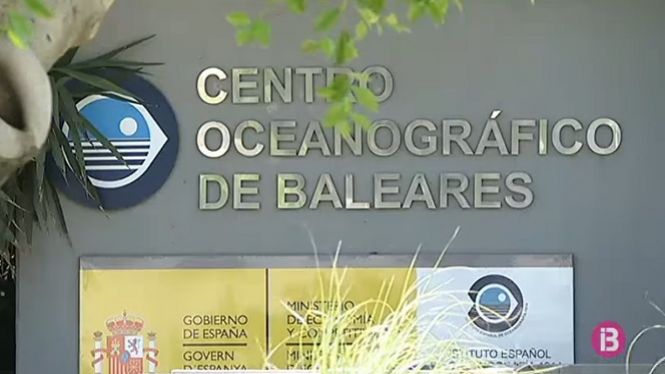 Dimiteix la cúpula de l’Institut Espanyol d’Oceanografia i els directors de Balears i Cadis