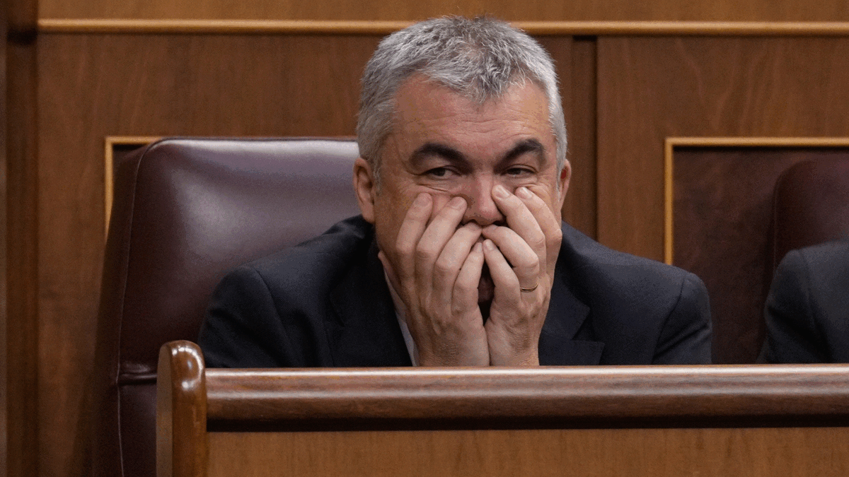Santos+Cerd%C3%A1n+dimiteix+del+PSOE+i+entrega+l%E2%80%99acta+de+diputat