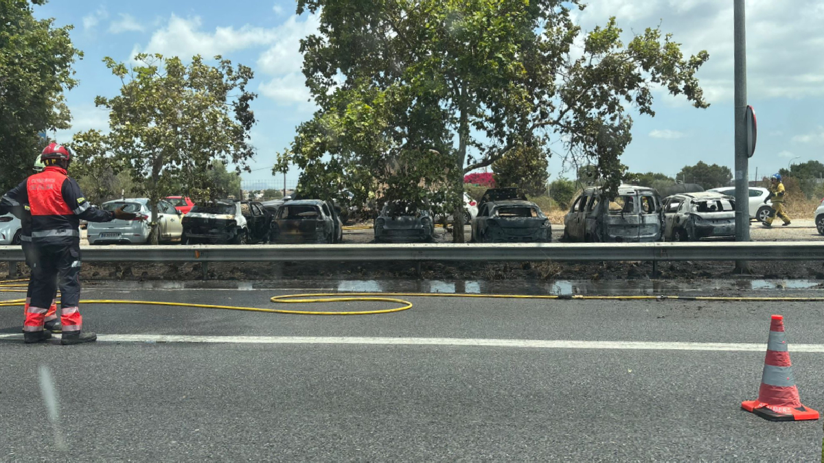 La crema d’uns rostolls calcina diversos cotxes aparcats a un solar del polígon Son Castelló de Palma