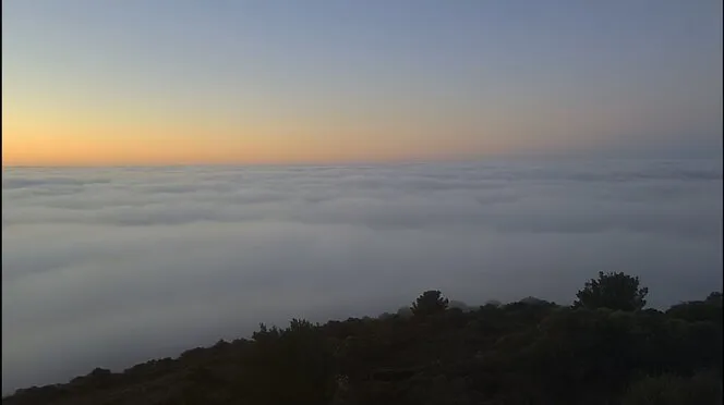 La boira afectarà el trànsit aeri a Palma durant bona part de la jornada, segons Aena