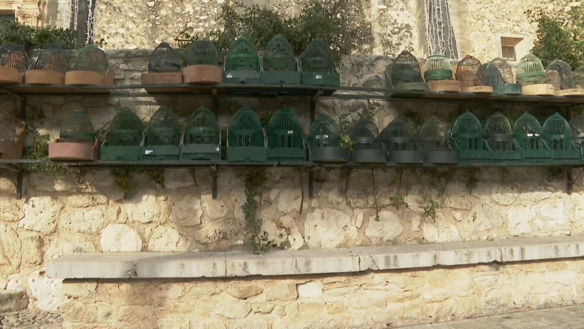 La grip aviària ha deslluït la Fira de la Perdiu de Montuïri