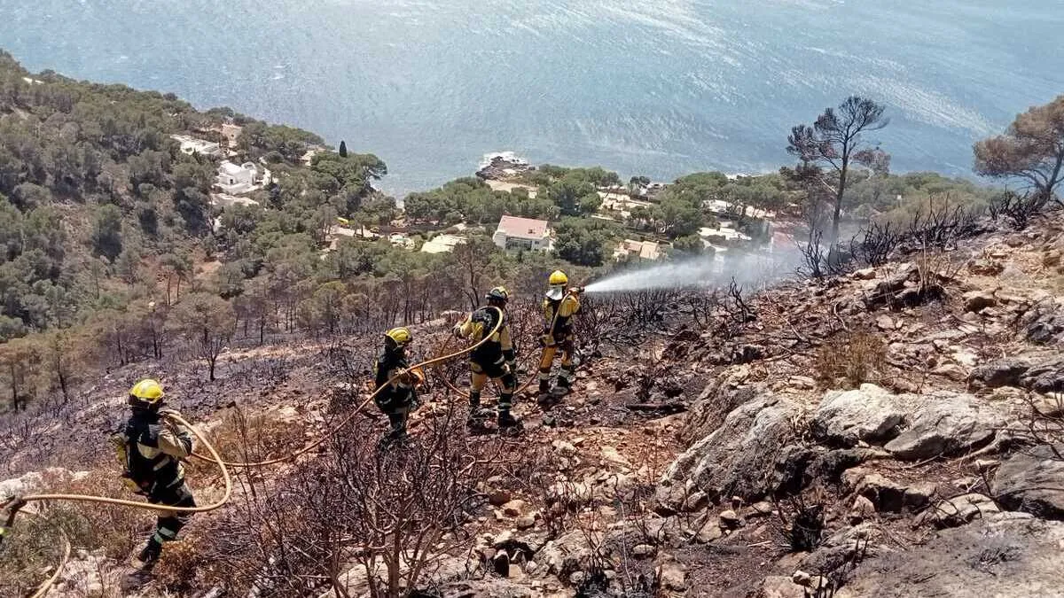 Extingit l’incendi a Costa des Pins, a Son Servera