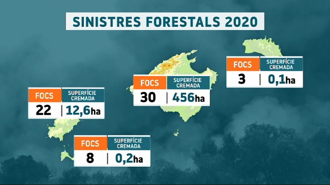 63 sinistres forestals durant el 2020: 468,9 hectàrees afectades