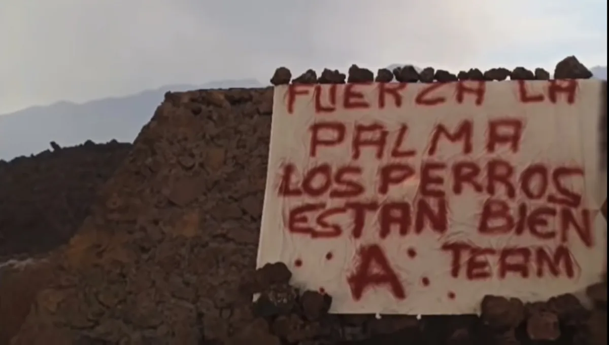 Un grup anònim rescata suposadament els cans aïllats de La Palma: “Estan bé”