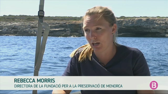 Menorca+lluita+contra+les+xarxes+de+pesca+fantasmes+de+la+seva+costa