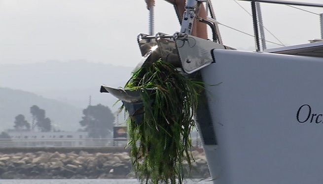L’estudi del Consell d’Eivissa confirma la degradació del fons marins a la meitat del litoral