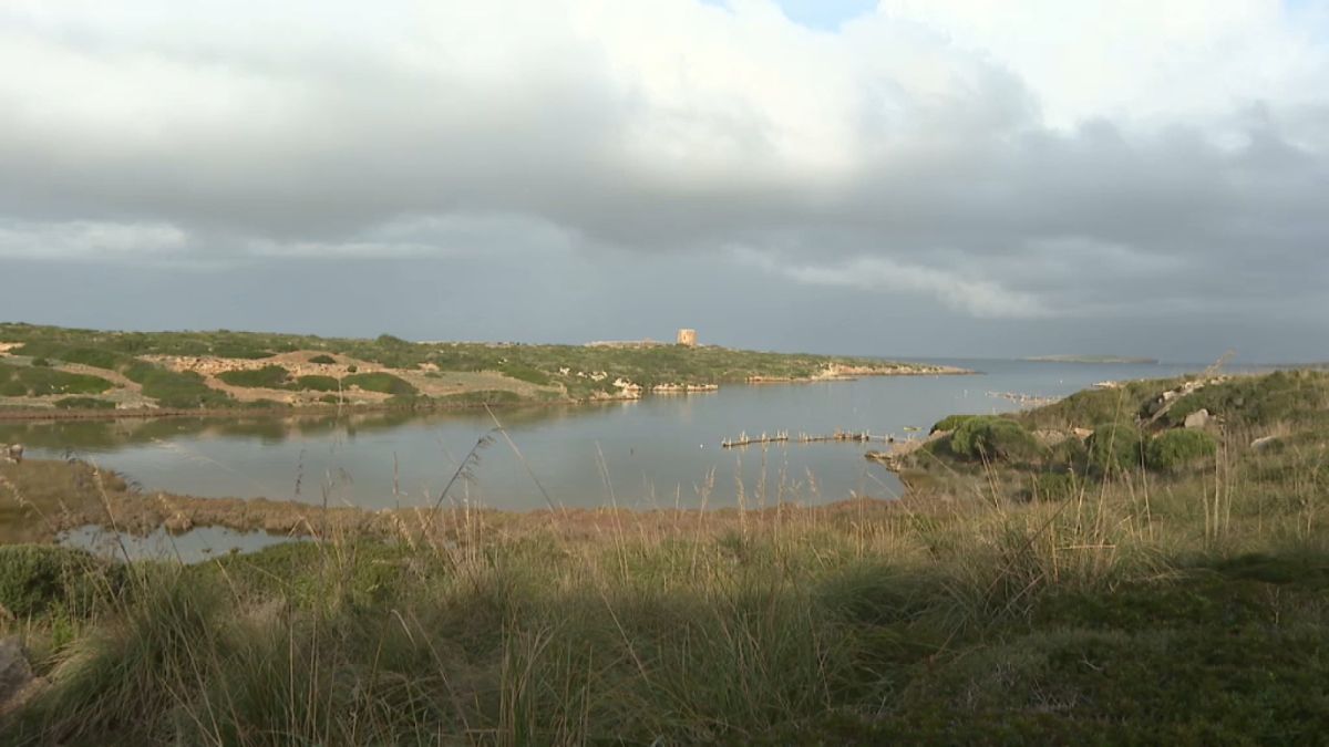 Retiren les barques del port de Sanitja des Mercadal per recomanació legal
