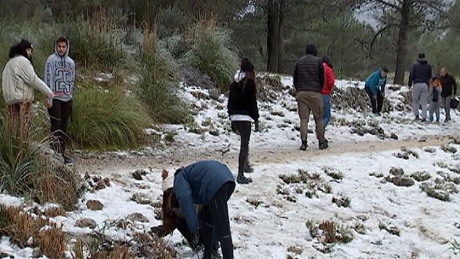 Aglomeracions a la Serra per veure la neu