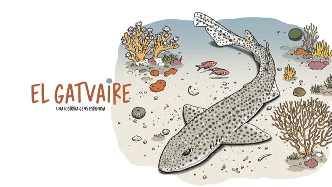 El Gatvaire, un còmic per donar a conèixer la importància de preservar aquesta espècie