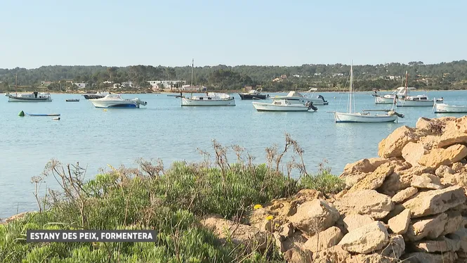 El Consell de Formentera regularà directament el fondeig i els amarraments a l’Estany des Peix