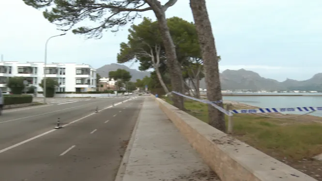 Precinten la platja de Llenaire del Port de Pollença després de l’enverinament de dos cans