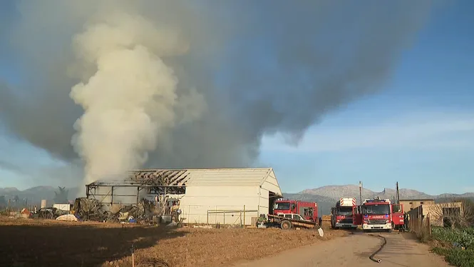 Un incendi afecta greument una nau agrícola a Sa Pobla