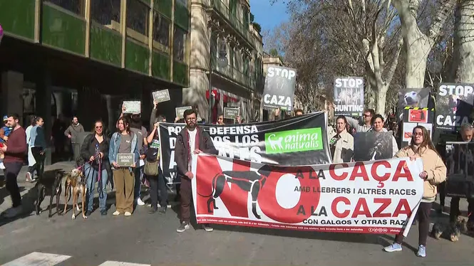 Una quarantena de persones es manifesten a Palma per a dir “no a la caça amb cans”