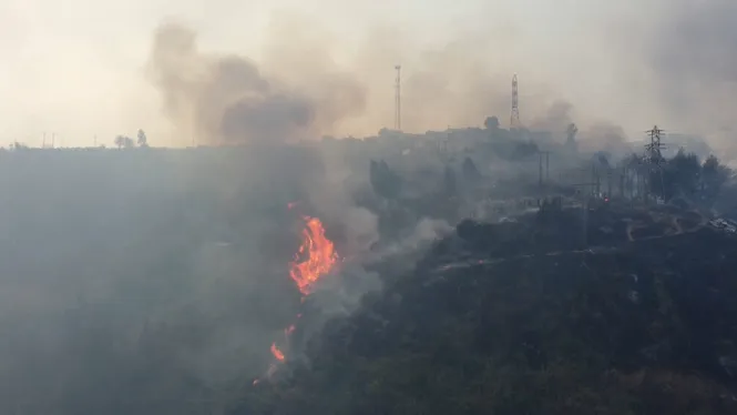 Almanco 64 morts pels incendis a Xile
