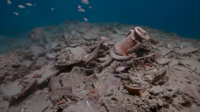 L’app SOS Patrimoni permetrà comunicar als tècnics de Formentera troballes arqueològiques subaquàtiques