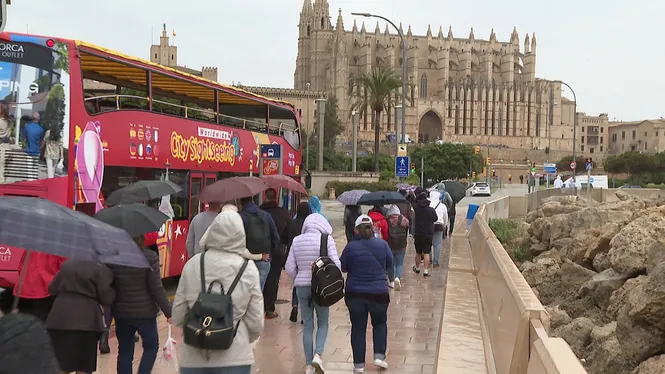 Sant Jordi i els creueristes omplen el centre de Palma