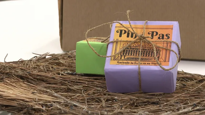‘Pin Pas’, el projecte formenterer guanyador de l’iemprèn jove de pastilles encenedores fetes amb fullaca