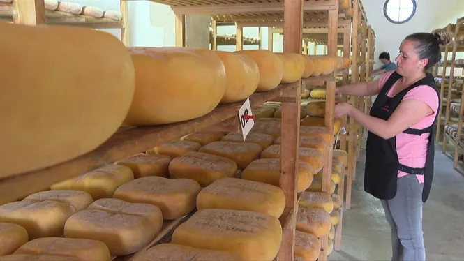 El darrer any es varen vendre 44.000 kg més de formatge Maó Menorca