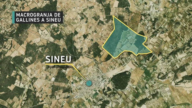 Sineu suma ja més de 5.000 firmes en contra de la macrogranja de gallines ponedores que s’hi preveu construir