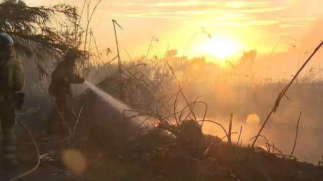 El foc de s’Albufera és el cinquè que es declara a la zona en només un mes