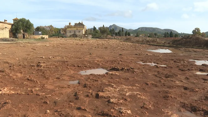 No troben restes de Pol·lèntia al solar del futur centre d’arqueologia de Mallorca