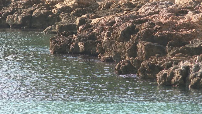 S’accelera la pujada del nivell de la mar Mediterrània: 2,8 mil·límetres a l’any