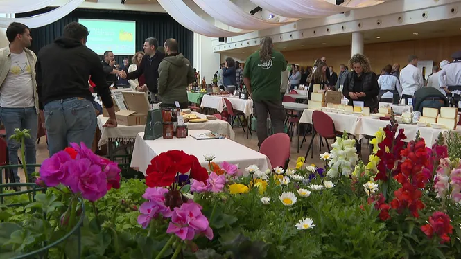 Una seixantena d’empreses participen en la I Jornada de Producte Local de Mallorca