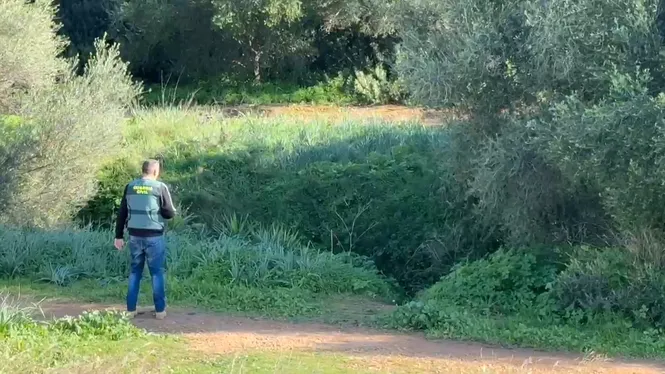 Troben un cadàver a prop d’un torrent a Marratxí