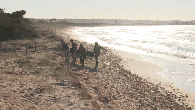 Els dos migrants trobats a una platja de Formentera moriren ofegats, segons l’autòpsia