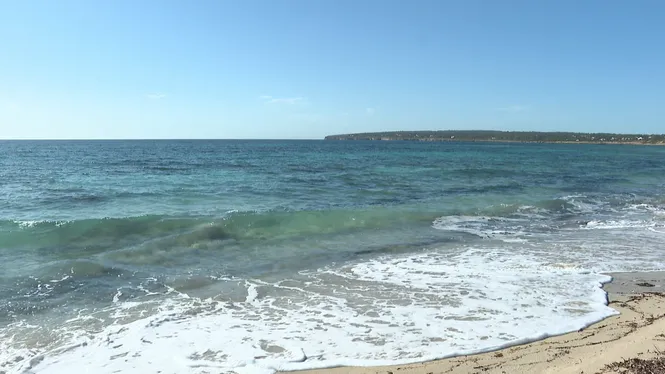 Els quiosquers de platja de Formentera critiquen la manca de voluntat política per evitar el desmuntatge