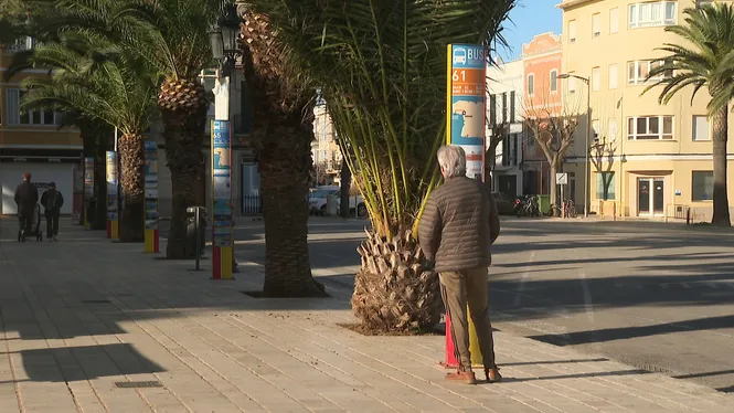 La plaça dels Pins de Ciutadella perdrà la parada de bus