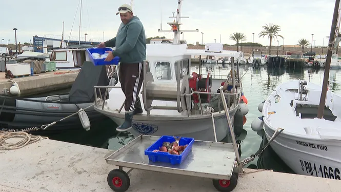 Els pescadors de Formentera lamenten que la restauració de l’illa no aposti pel seu producte